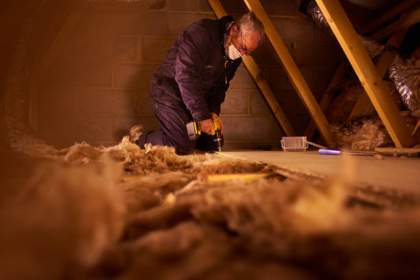 Best Insulation Maintenance and Repair in Coeburn, VA